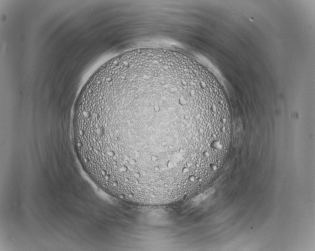 X0000081601103200702051323