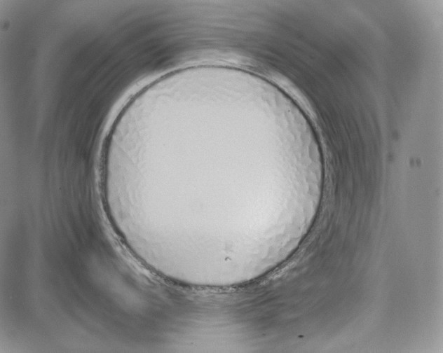 X0000081601104200702051323