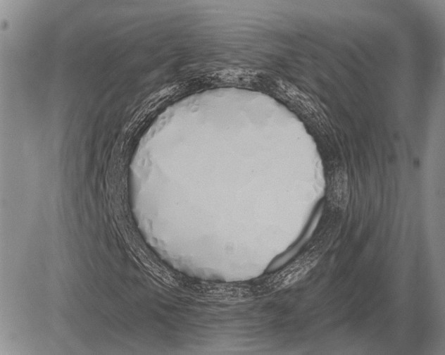 X0000081601105200702051322