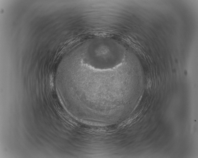 X0000081601106200702051322