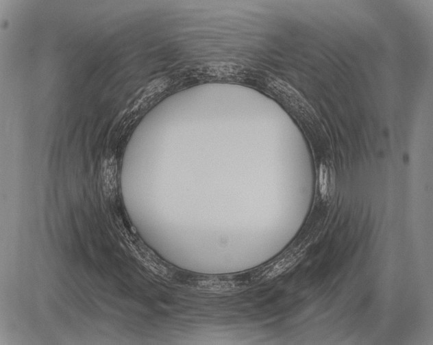 X0000081601107200702051322