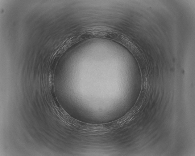 X0000081601108200702051322