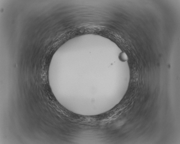 X0000081601109200702051322