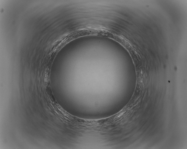 X0000081601110200702051322