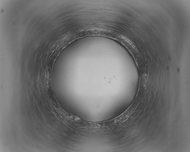 X0000081601111200702051322