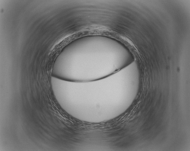 X0000081601112200702051322