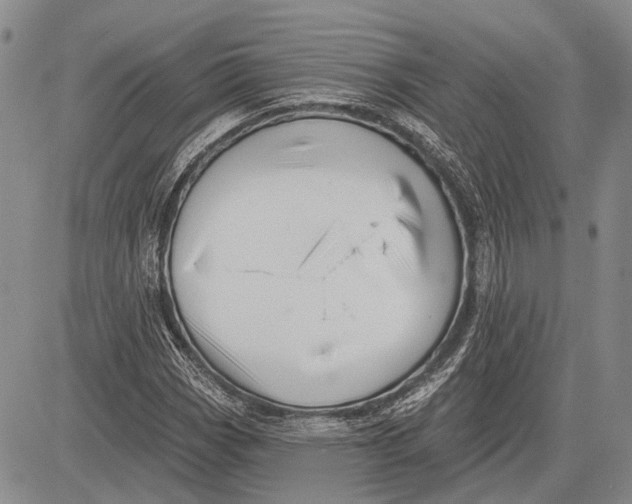 X0000081601113200702051322