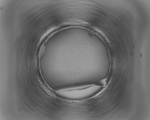 X0000081601114200702051322