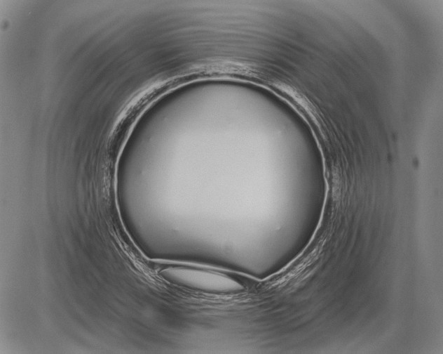 X0000081601115200702051322