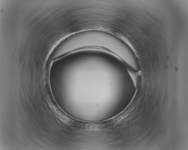 X0000081601116200702051322