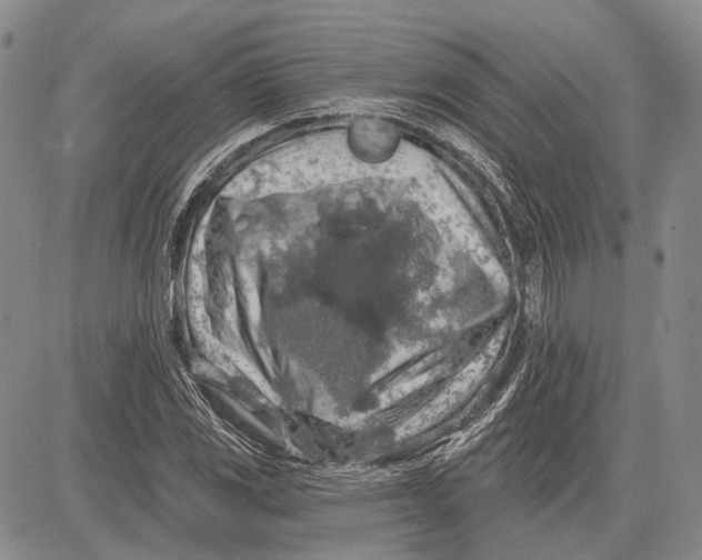 X0000081601117200702051322