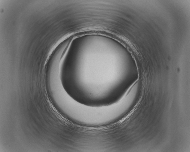 X0000081601118200702051322