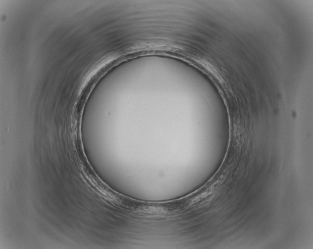 X0000081601119200702051322