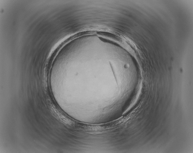 X0000081601120200702051322