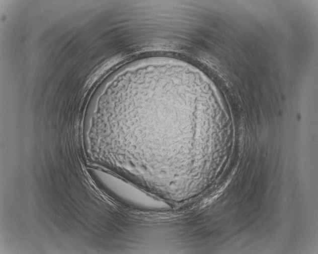 X0000081601121200702051322