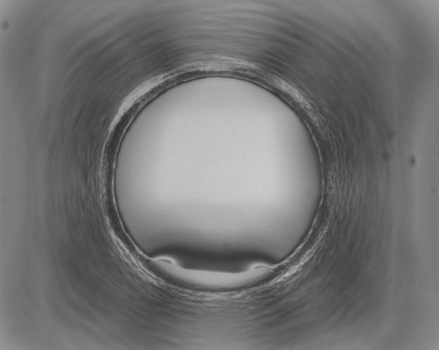 X0000081601122200702051322