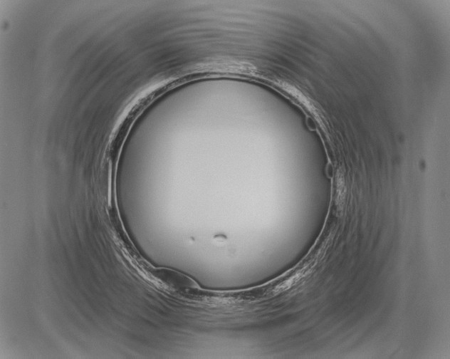 X0000081601123200702051322