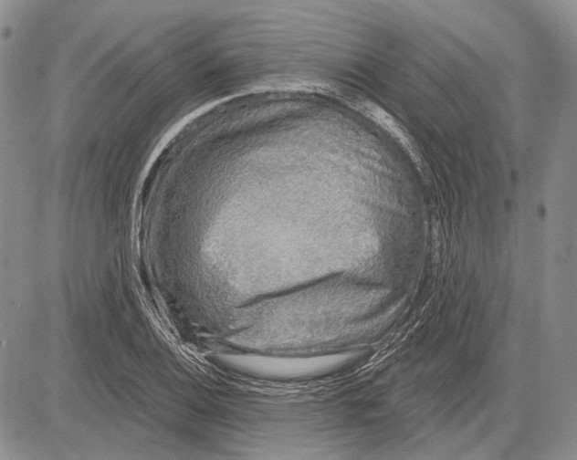 X0000081601124200702051322