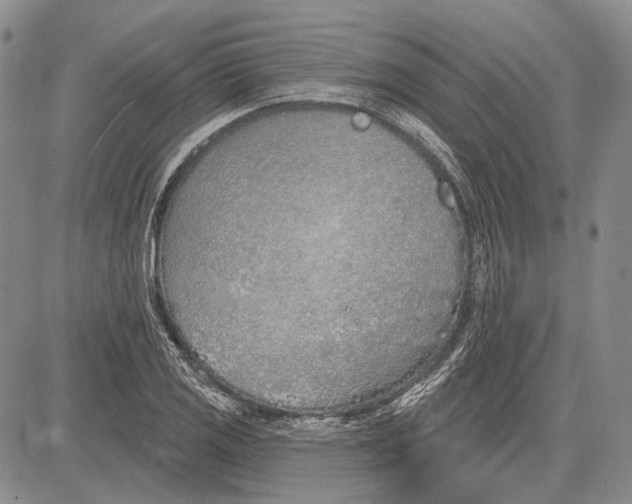 X0000081601125200702051322