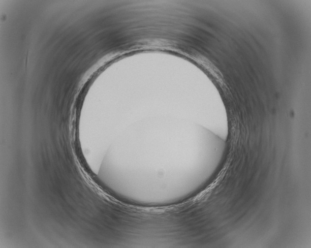 X0000081601126200702051322