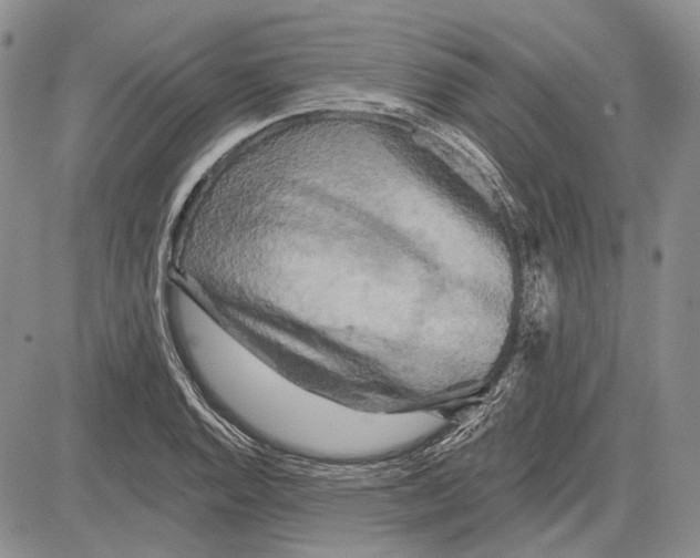 X0000081601128200702051322