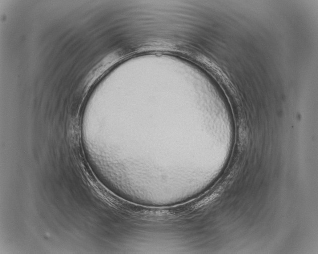 X0000081601129200702051322