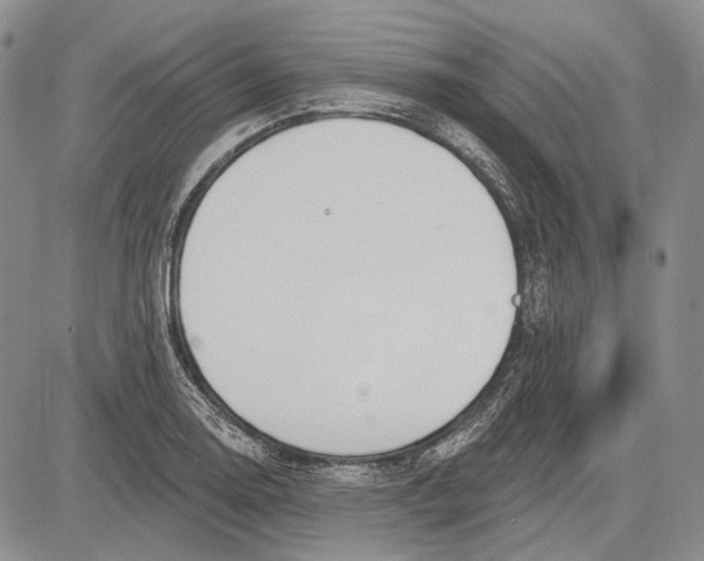 X0000081601130200702051322