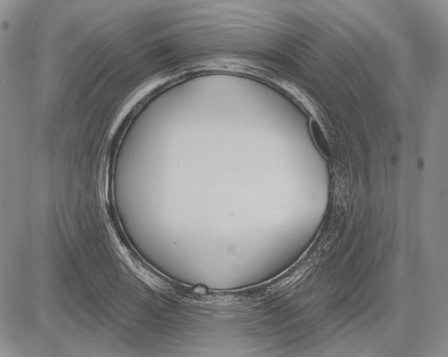 X0000081601131200702051322