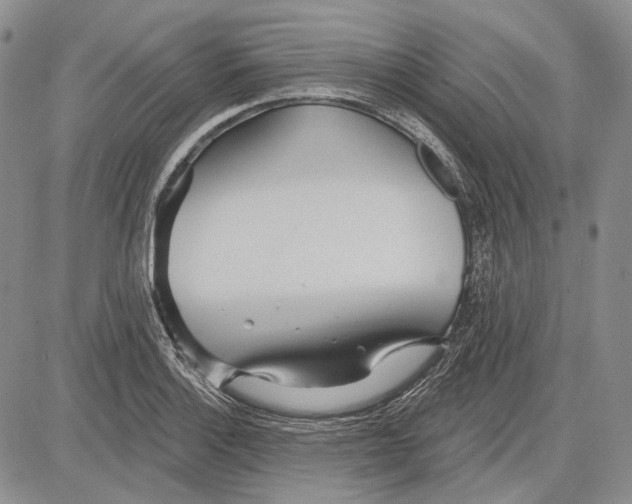 X0000081601132200702051322