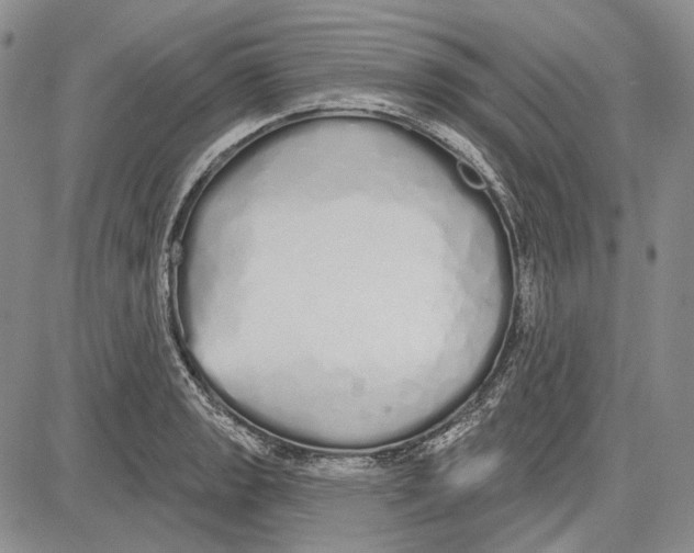 X0000081601133200702051322