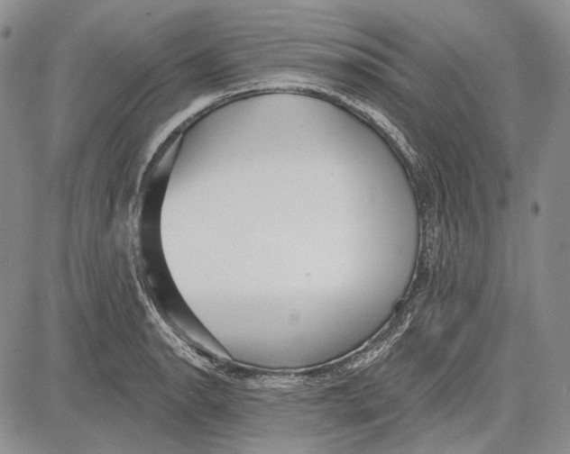 X0000081601134200702051322