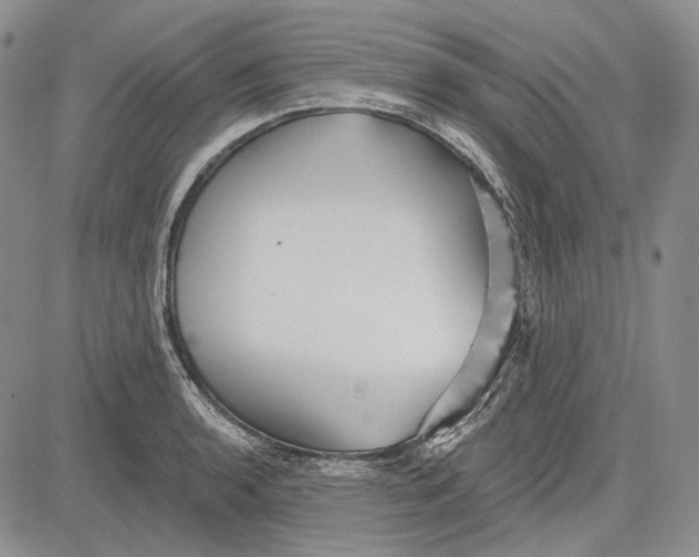 X0000081601136200702051323