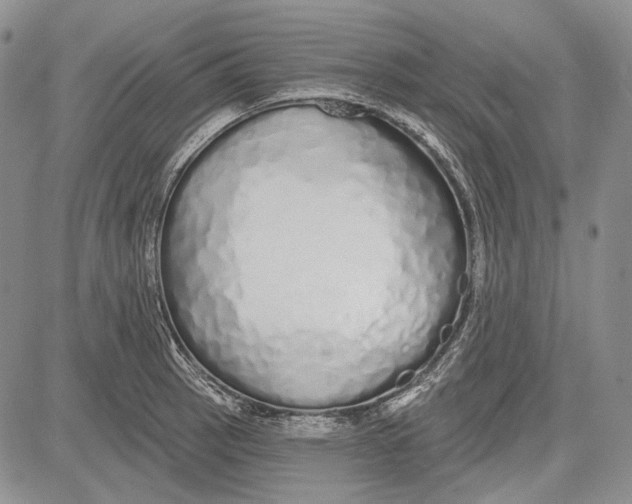 X0000081601137200702051323