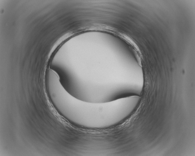 X0000081601138200702051323