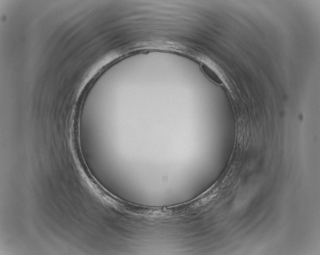 X0000081601139200702051323