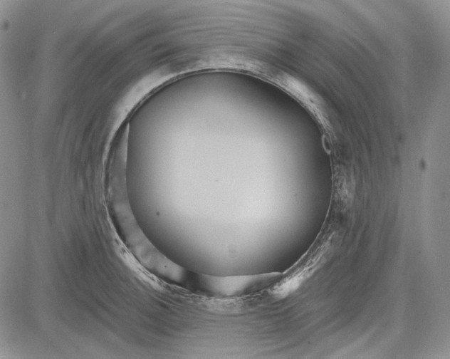 X0000081601140200702051323