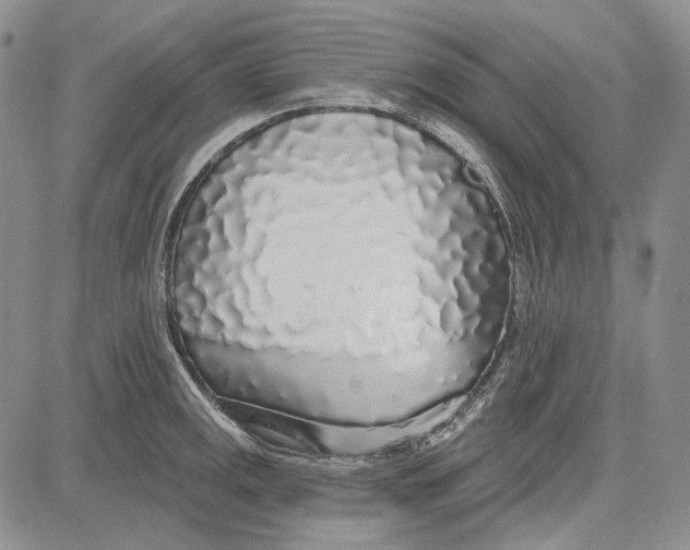 X0000081601141200702051323