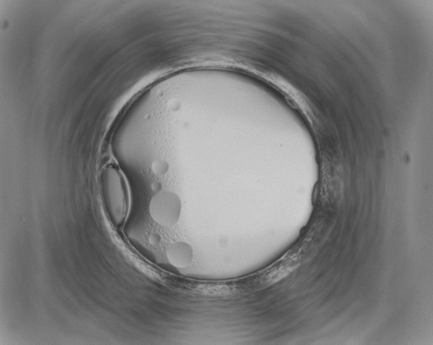 X0000081601142200702051323