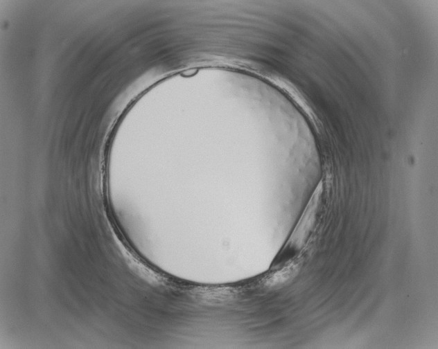 X0000081601143200702051323