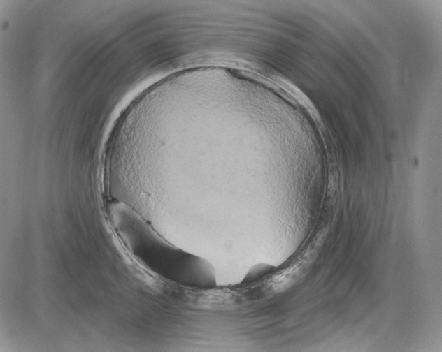 X0000081601144200702051323