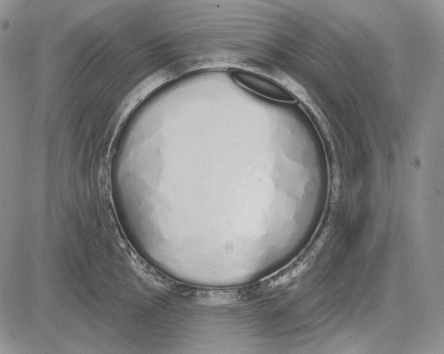 X0000081601145200702051323