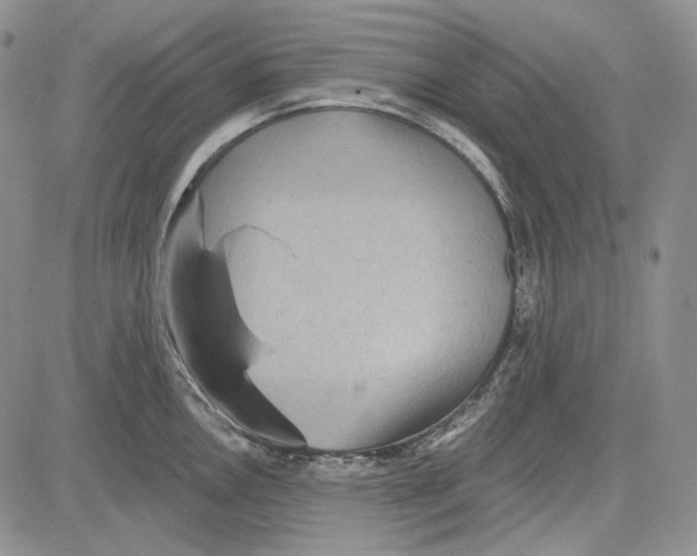 X0000081601146200702051323