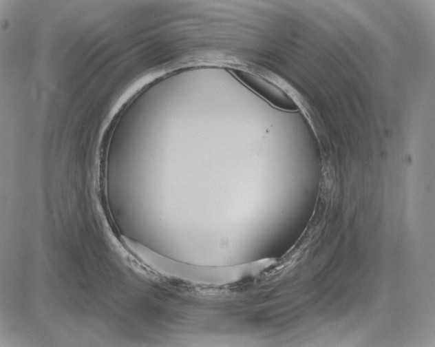 X0000081601147200702051323