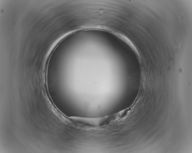 X0000081601148200702051323