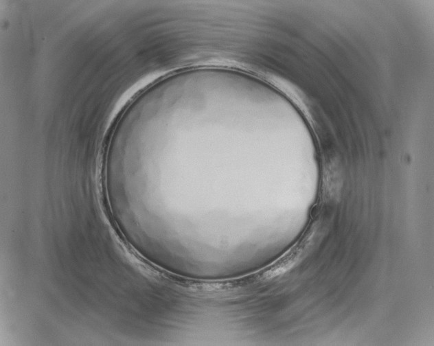 X0000081601149200702051323