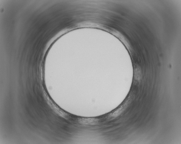 X0000081601150200702051323