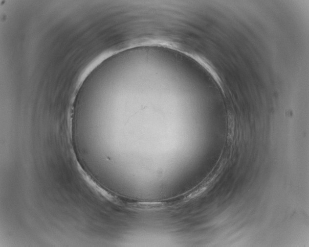 X0000081601151200702051323