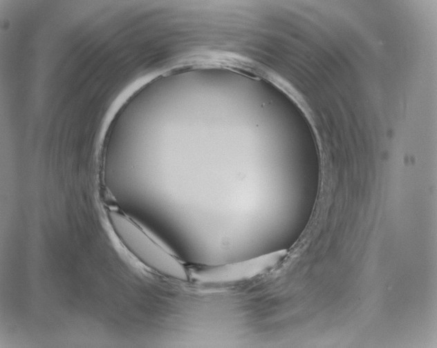 X0000081601152200702051323