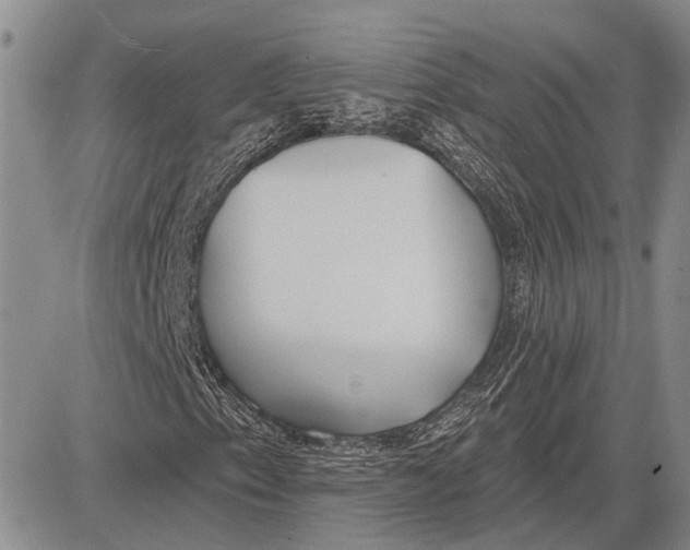 X0000081601153200702051322