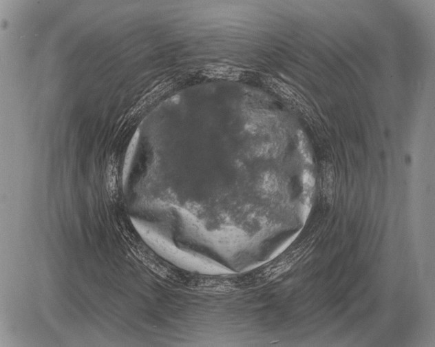 X0000081601154200702051322